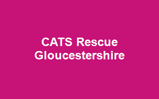 CATS Rescue Gloucestershire